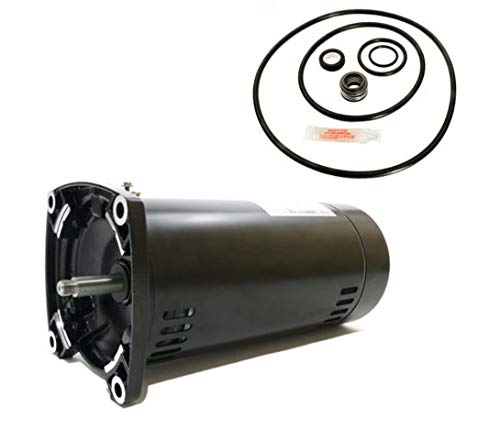 Sta-Rite Max-E-Glas II 1HP P4EA6E-150L Motor Kit AO Smith USQ1102 w/GO-KIT-38